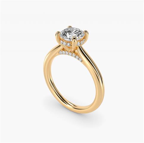 Petite Hidden Halo Solitaire Plus setting in 14k yellow gold