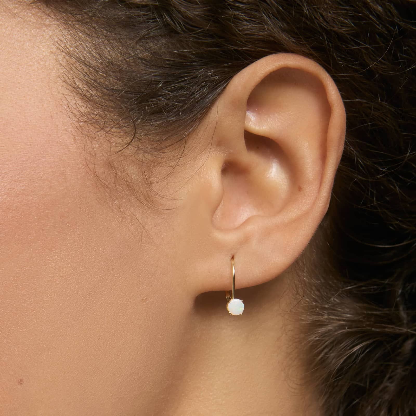 Opal Leverback Earrings in 14K Yellow Gold