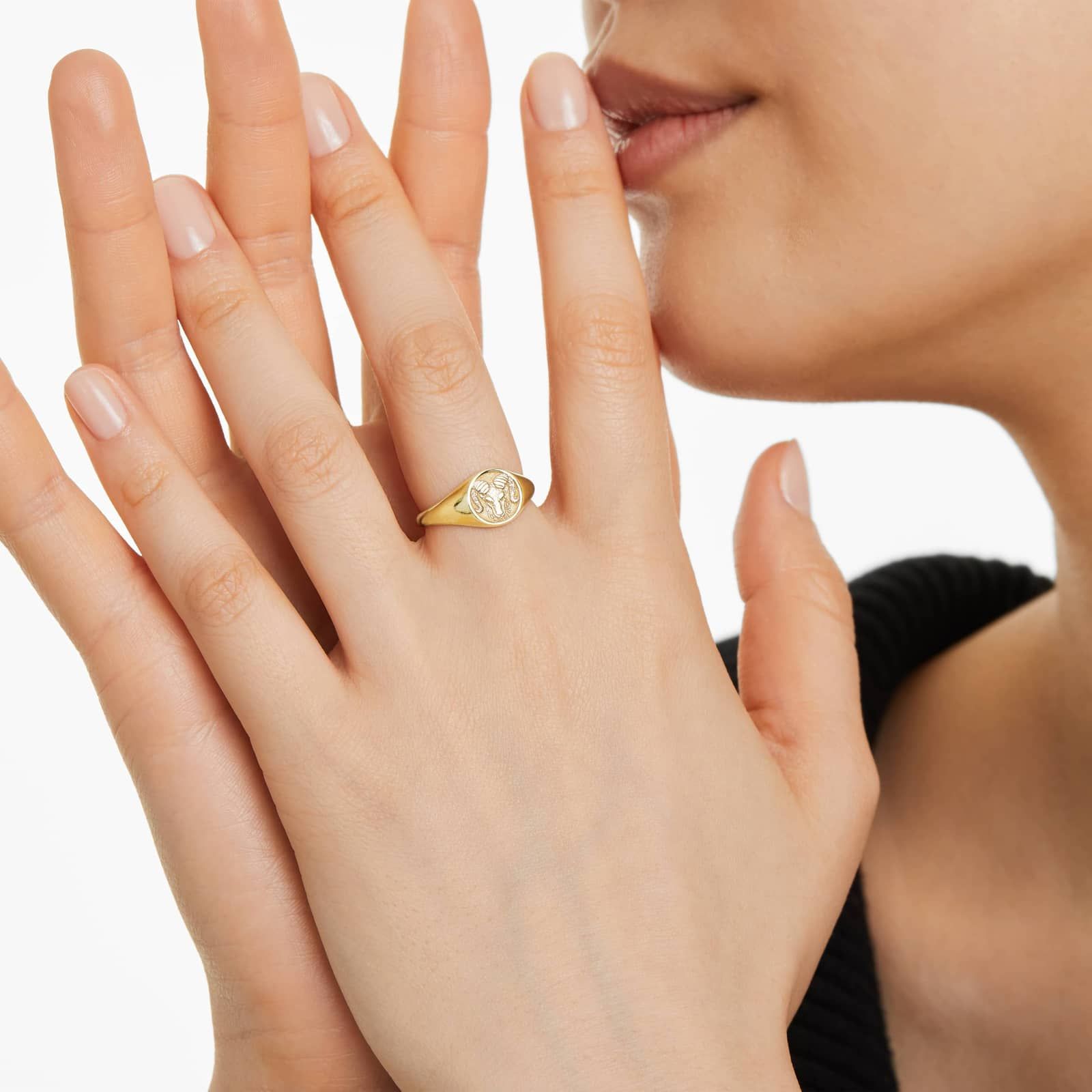 Aries Zodiac Signet Ring In 14K Yellow Gold