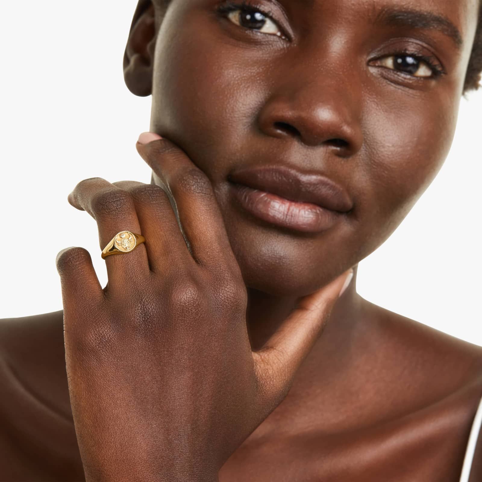 Taurus Zodiac Signet Ring In 14K Yellow Gold