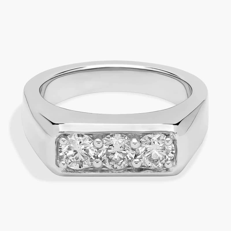 Men's Trio Diamond Band in Platinum (3.8 mm, 1/2 ct. tw.)