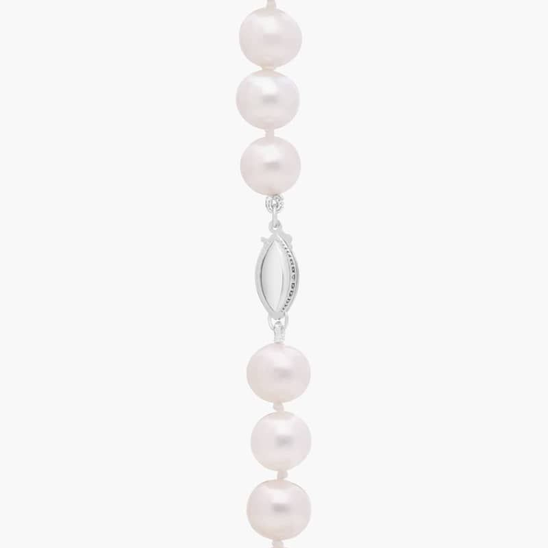 16" Freshwater Cultured Pearl Strand Necklace in 14k White Gold (8.0-8.5mm)