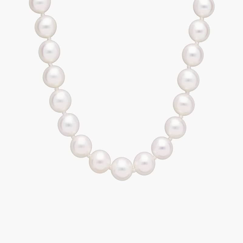 16" Freshwater Cultured Pearl Strand Necklace in 14k Yellow Gold (7.0-7.5mm)