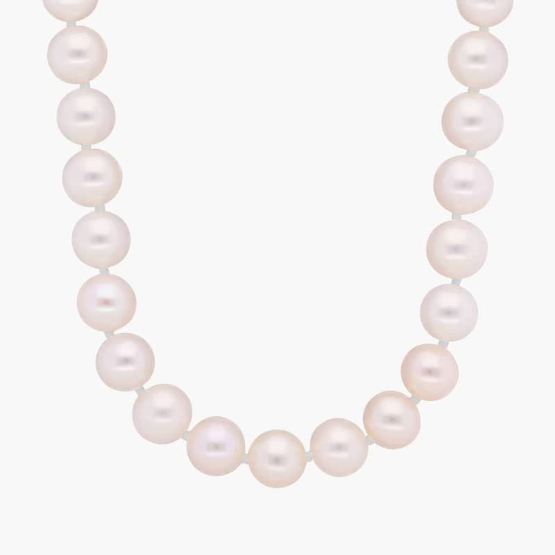 20" Freshwater Cultured Pearl Strand Necklace in 14k Yellow Gold (8.0-8.5mm)