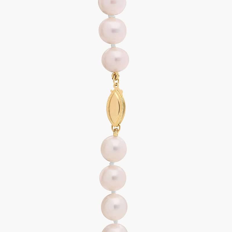 20" Freshwater Cultured Pearl Strand Necklace in 14k Yellow Gold (8.0-8.5mm)