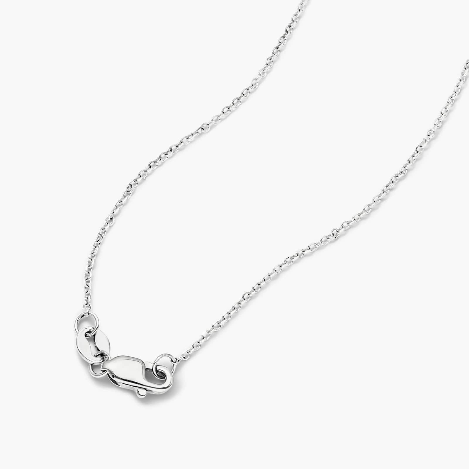 Round Halo Cluster Diamond Necklace In 14K White Gold By James Allen